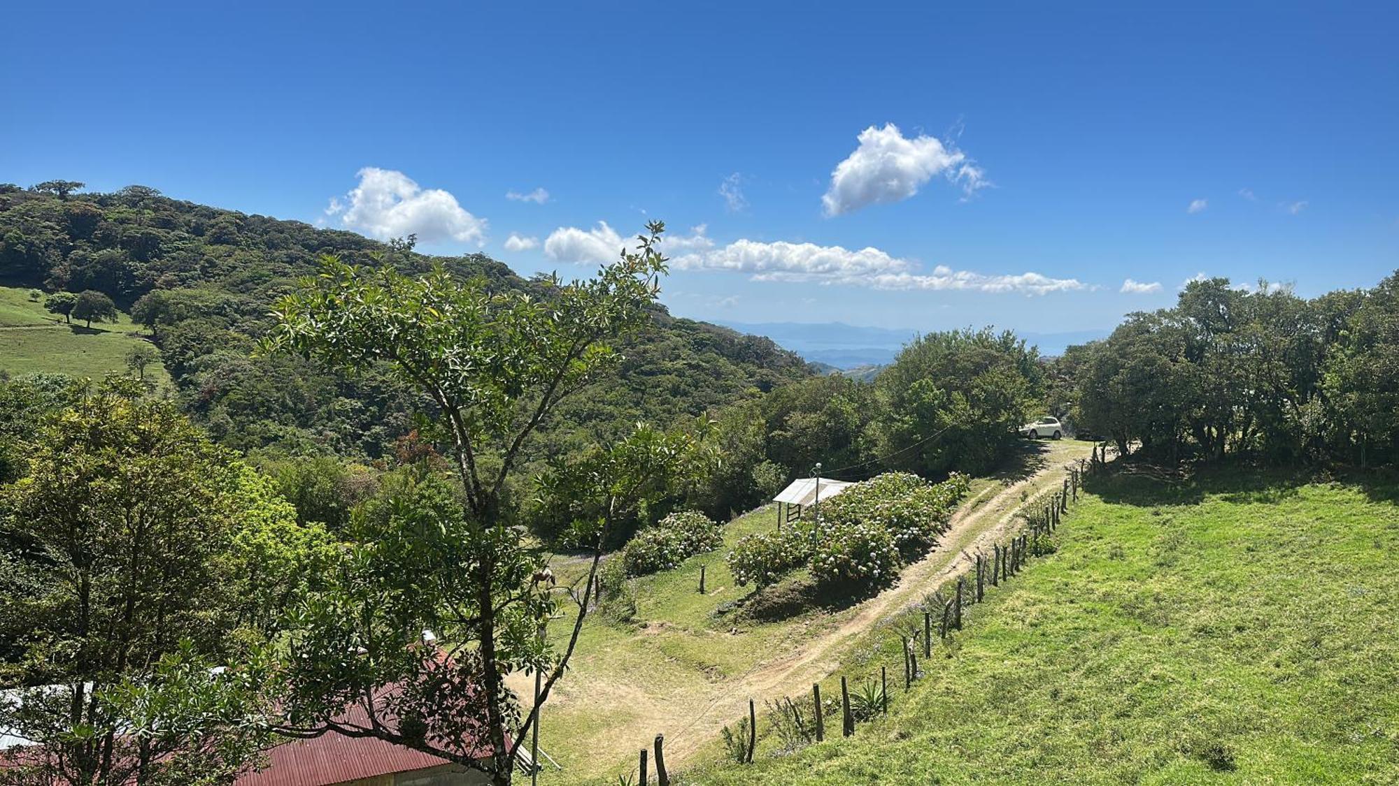 Dadirri House Minicasa Santa Elena Monteverde Eksteriør bilde